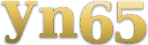 yn65 logo